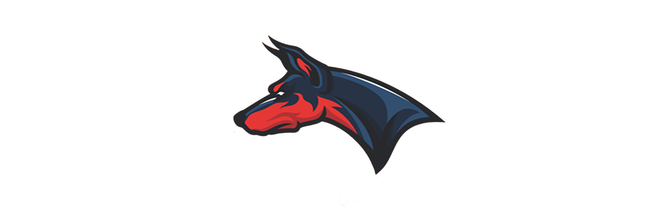 Server Icon